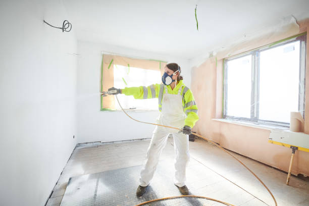 Brookside, AL Mold Removal Pros
