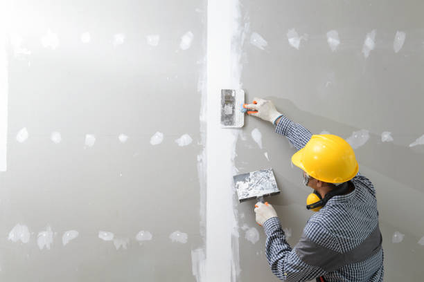 Best Water Damage & Mold Remediation  in Brookside, AL