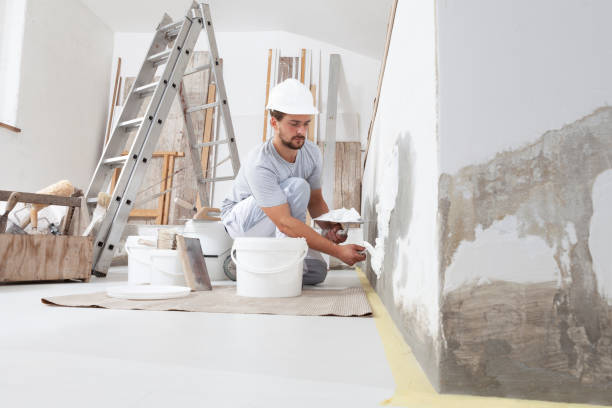Best Industrial Mold Remediation  in Brookside, AL