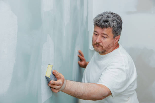 Best Mold Damage Restoration  in Brookside, AL