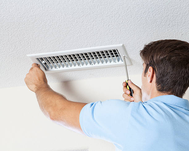 Best Mold-Related Health Consultation  in Brookside, AL