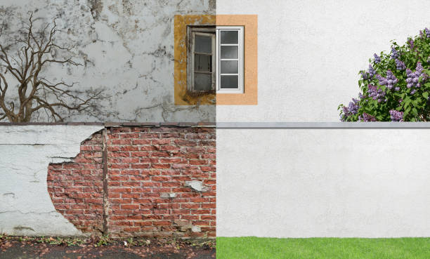 Best Mold Odor Removal Services  in Brookside, AL