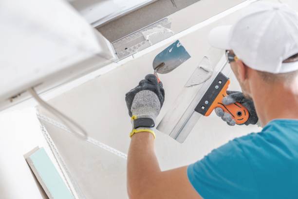 Best Crawl Space Mold Remediation  in Brookside, AL